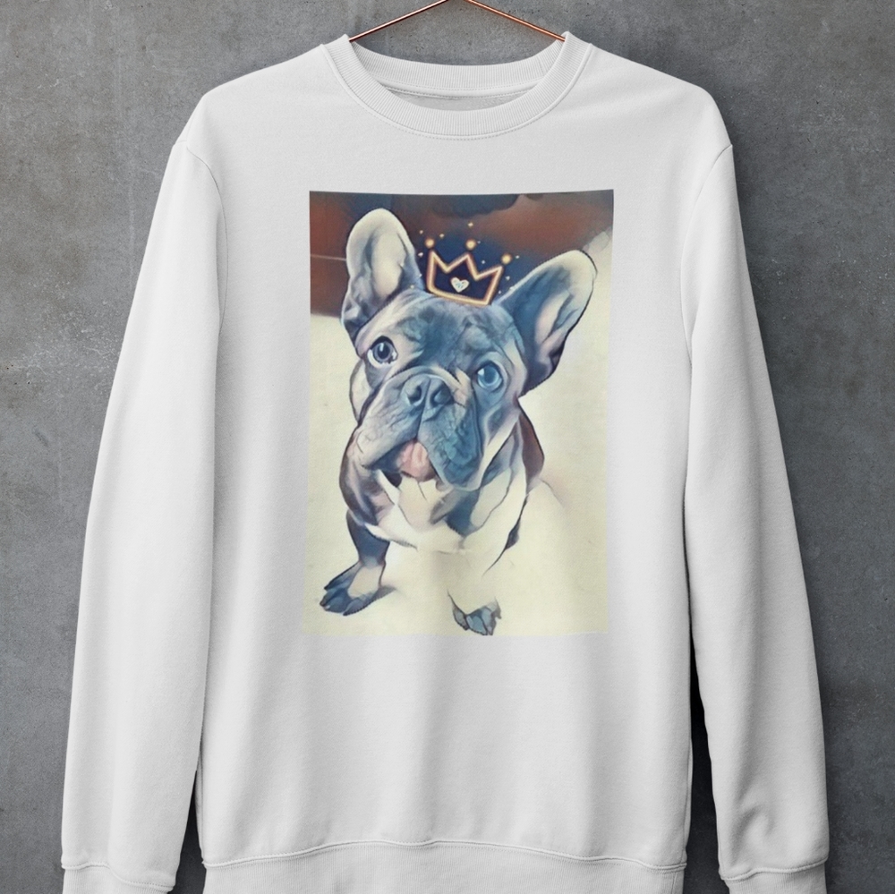 Custom PET Sweatshirt